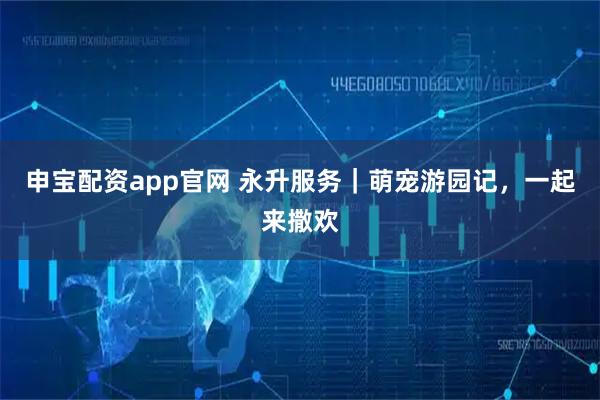 申宝配资app官网 永升服务｜萌宠游园记，一起来撒欢