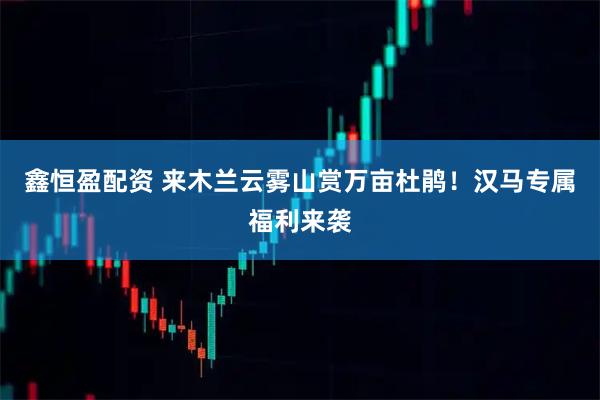 鑫恒盈配资 来木兰云雾山赏万亩杜鹃！汉马专属福利来袭