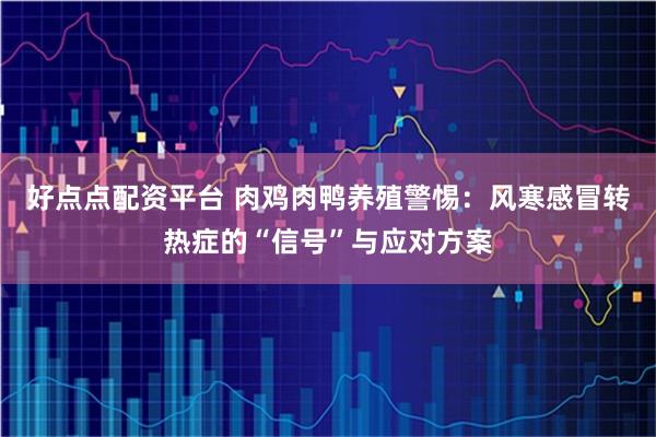 好点点配资平台 肉鸡肉鸭养殖警惕：风寒感冒转热症的“信号”与应对方案