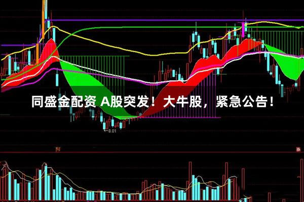 同盛金配资 A股突发！大牛股，紧急公告！