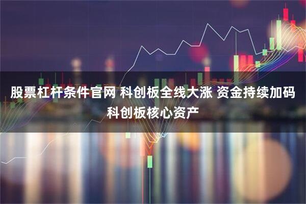 股票杠杆条件官网 科创板全线大涨 资金持续加码科创板核心资产