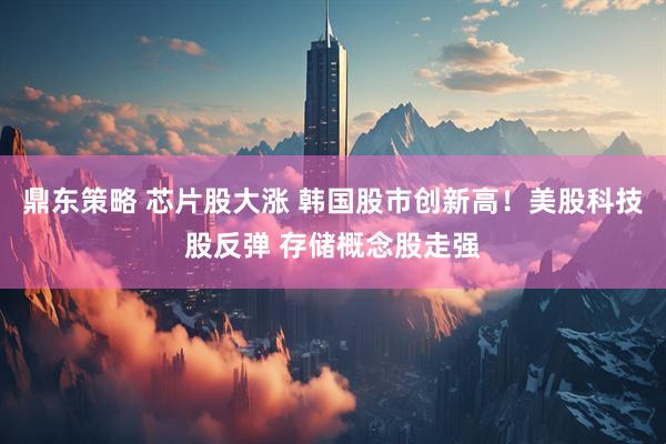 鼎东策略 芯片股大涨 韩国股市创新高!美股科技股反弹 存储概念股走强